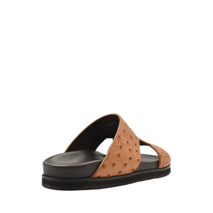 Amorti Arca Ostrich