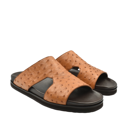 Amorti Arca Ostrich