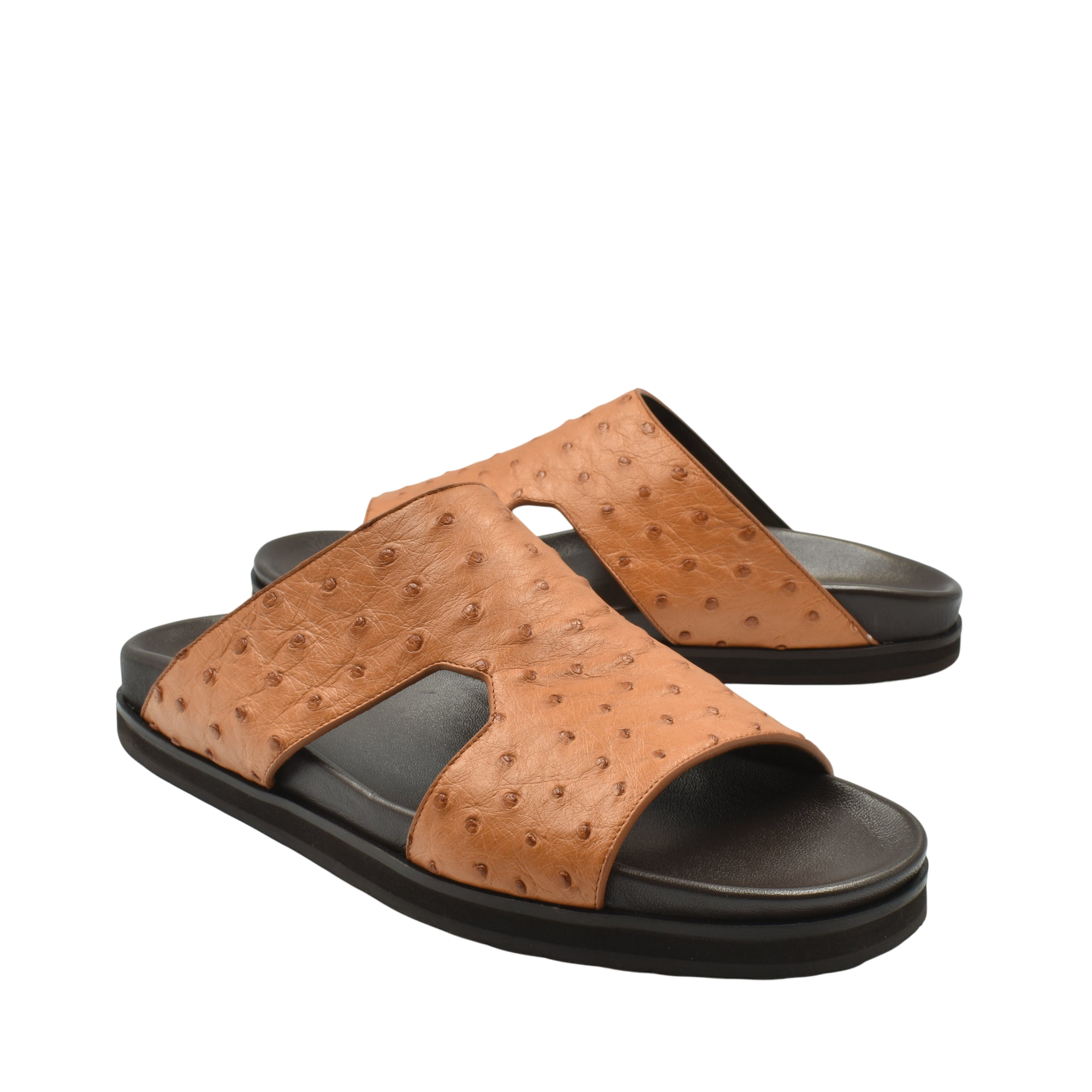 Amorti Arca Ostrich