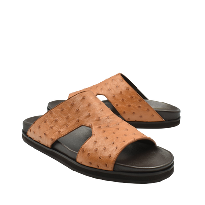 Amorti Arca Ostrich