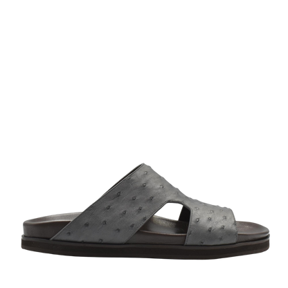 Amorti Arca Ostrich