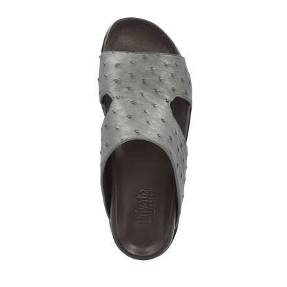 Amorti Arca Ostrich