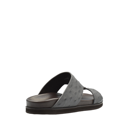 Amorti Arca Ostrich