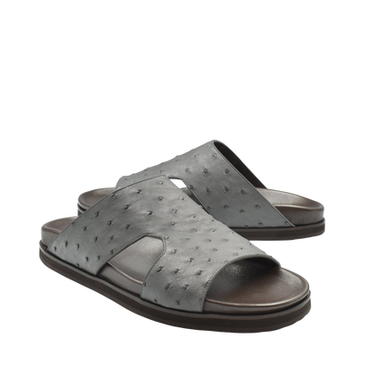Amorti Arca Ostrich