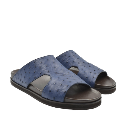 Amorti Arca Ostrich
