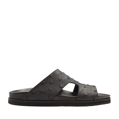 Amorti Arca Ostrich