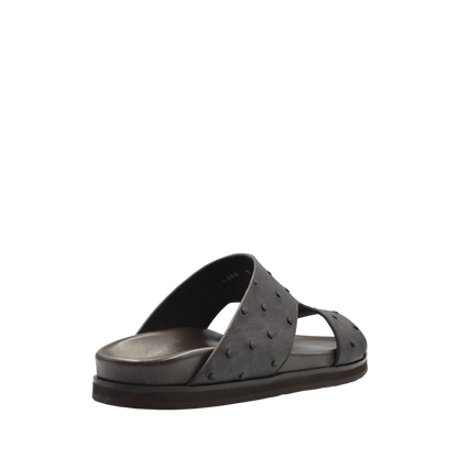 Amorti Arca Ostrich
