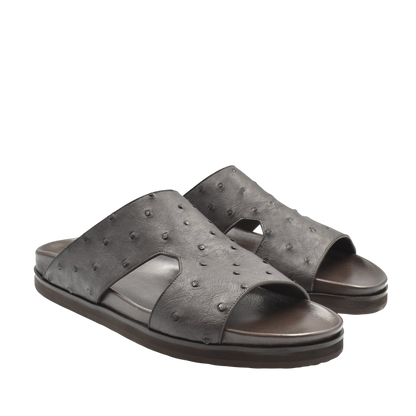 Amorti Arca Ostrich