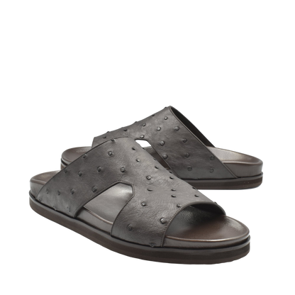 Amorti Arca Ostrich