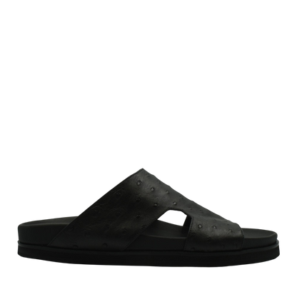 Amorti Arca Ostrich
