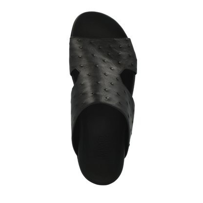 Amorti Arca Ostrich