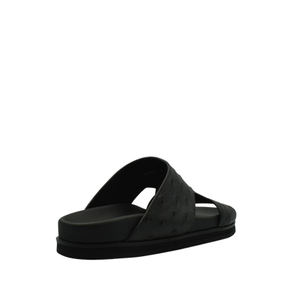 Amorti Arca Ostrich