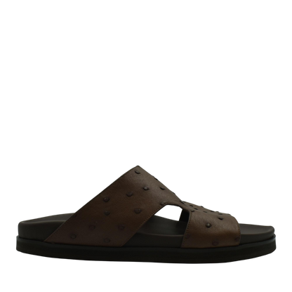 Amorti Arca Ostrich