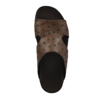 Amorti Arca Ostrich